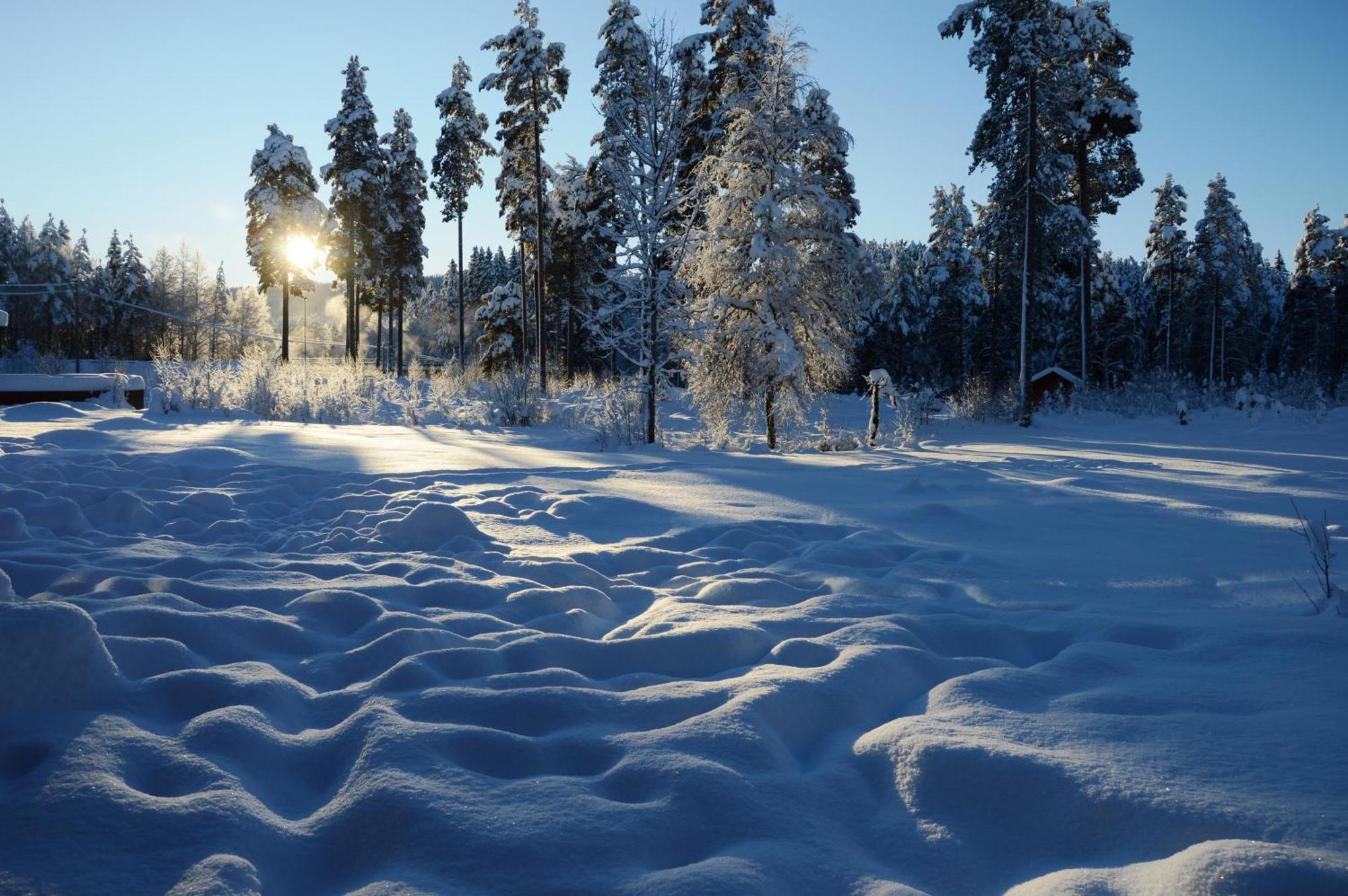 14 - Fulufjellets Nasjonalparker - Natur-, Dyre- Og Fugleopplevelser Trysil Exterior foto