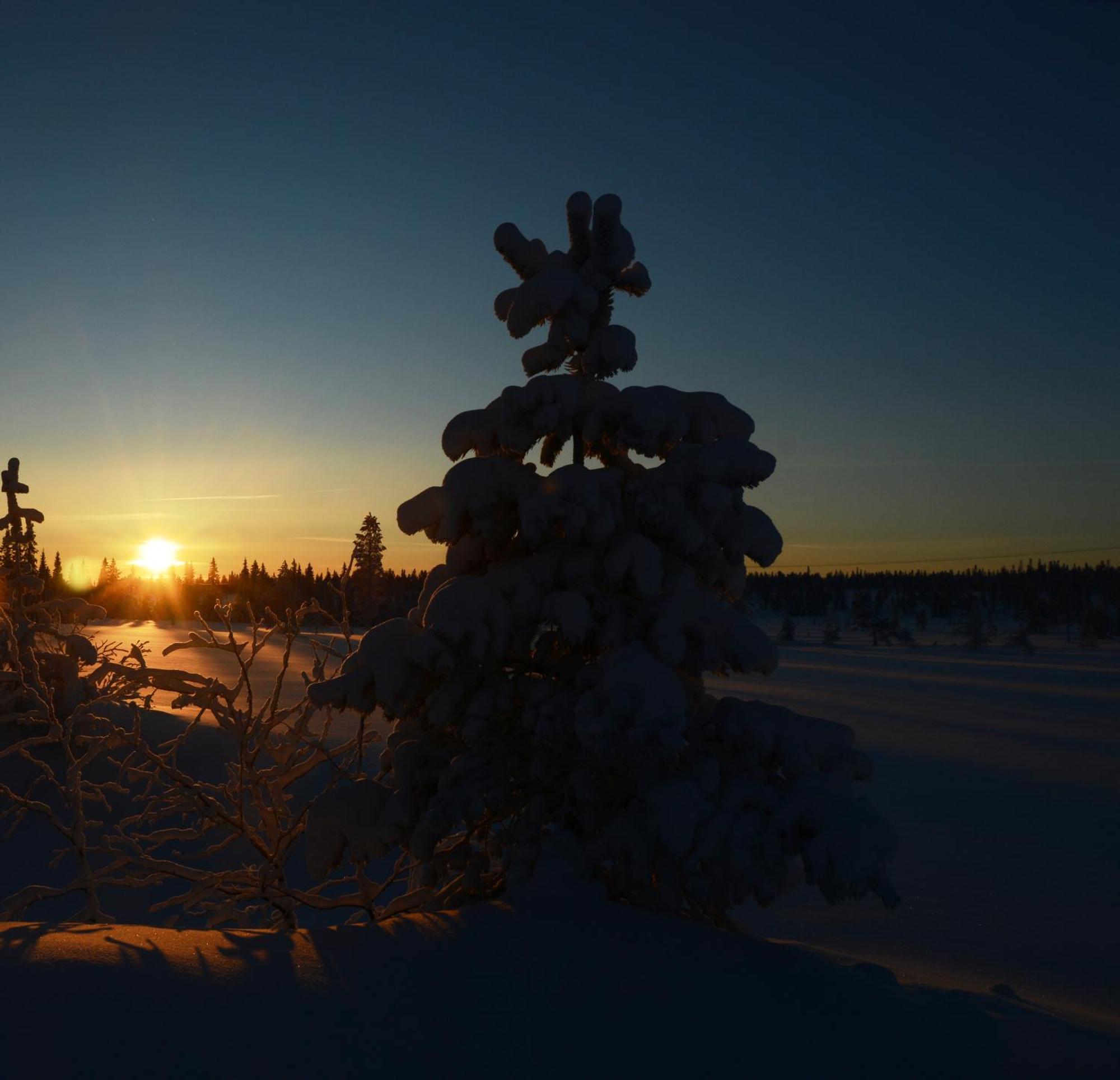 14 - Fulufjellets Nasjonalparker - Natur-, Dyre- Og Fugleopplevelser Trysil Exterior foto