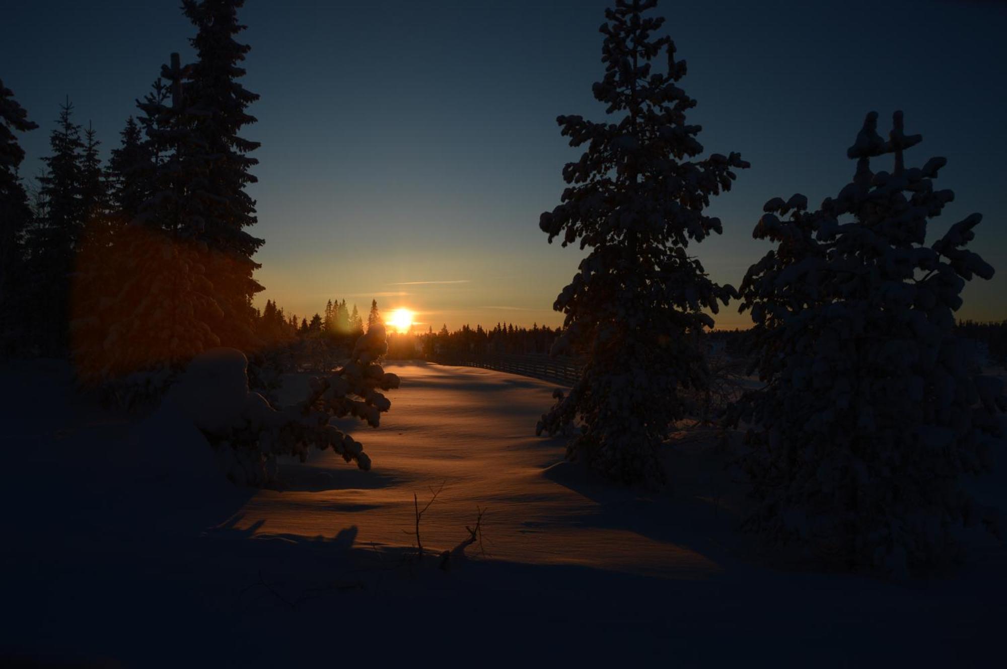 14 - Fulufjellets Nasjonalparker - Natur-, Dyre- Og Fugleopplevelser Trysil Exterior foto