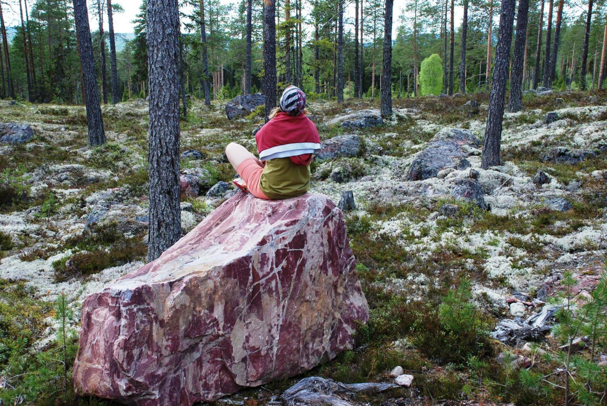 14 - Fulufjellets Nasjonalparker - Natur-, Dyre- Og Fugleopplevelser Trysil Exterior foto